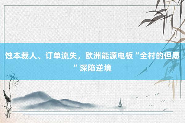 蚀本裁人、订单流失，欧洲能源电板“全村的但愿”深陷逆境