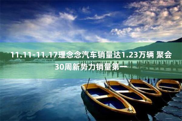 11.11-11.17理念念汽车销量达1.23万辆 聚会30周新势力销量第一