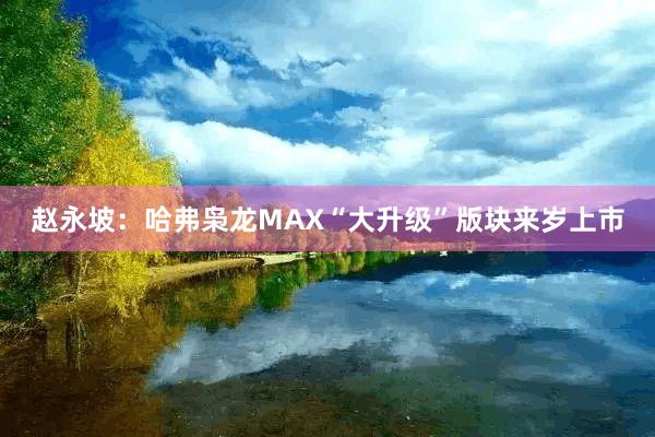 赵永坡：哈弗枭龙MAX“大升级”版块来岁上市