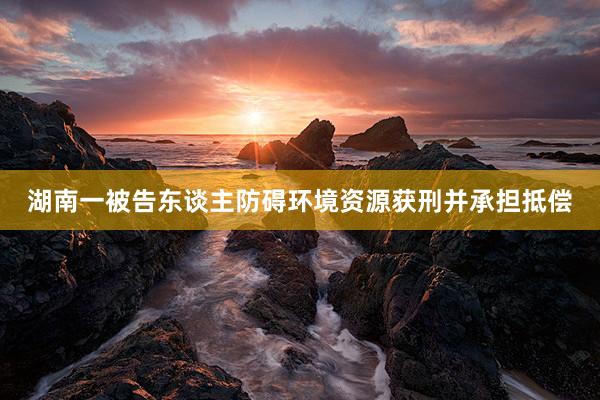 湖南一被告东谈主防碍环境资源获刑并承担抵偿